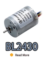 BL2430I, BL2430, B2430M, 24 мм небольшой внутренний ротор безмолковой двигатель постоянного тока.webp