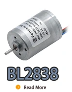 BL2838I, BL2838, B2838M, 28 мм небольшого внутреннего ротора безмолкового двигателя постоянного тока.webp