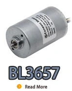 BL3657I, BL3657, B3657M, 36 мм небольшого внутреннего ротора безмолкового двигателя постоянного тока.webp